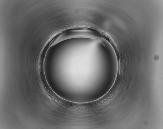 X0000094960435200711291444