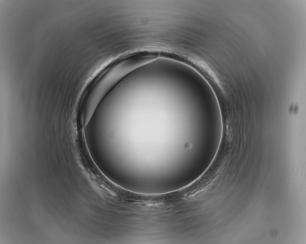 X0000094960436200711291444