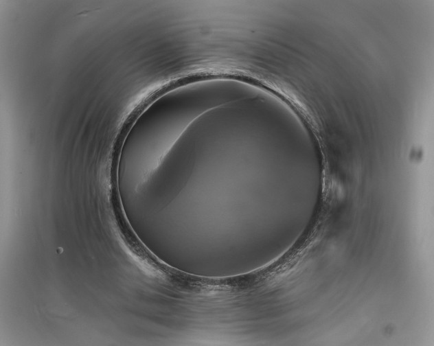 X0000094960438200711291444