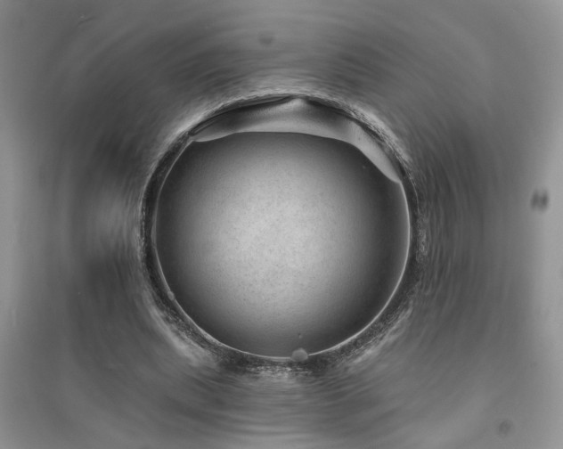 X0000094960439200711291444