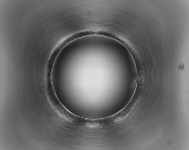 X0000094960440200711291444