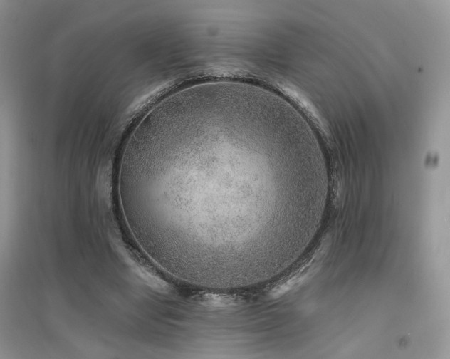 X0000094960442200711291444