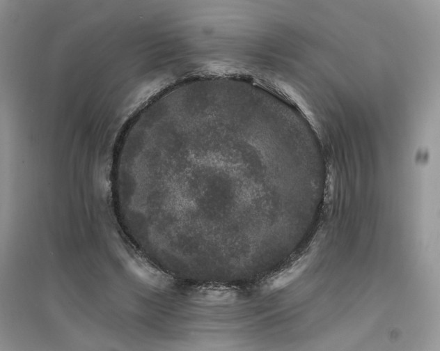 X0000094960443200711291444