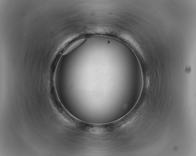 X0000094960444200711291444