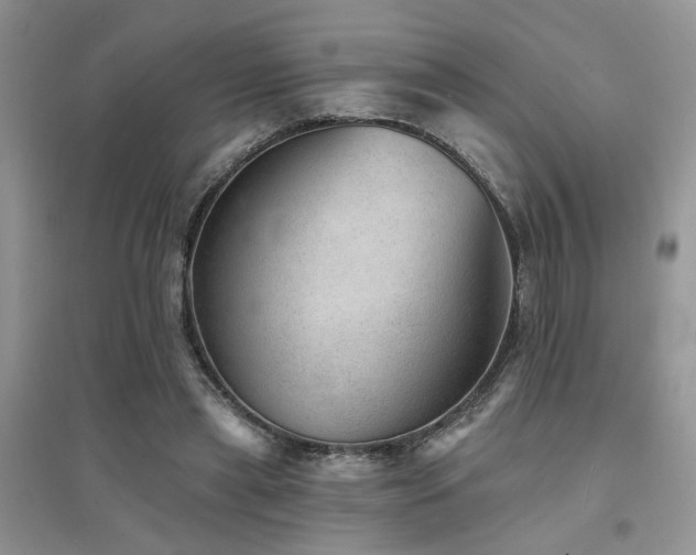 X0000094960445200711291444