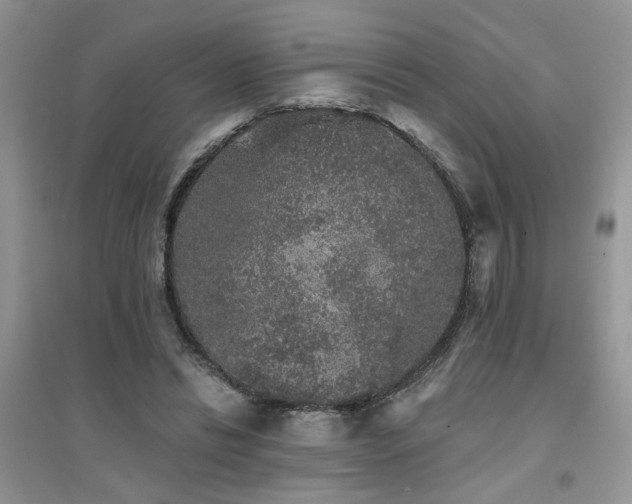 X0000094960446200711291444