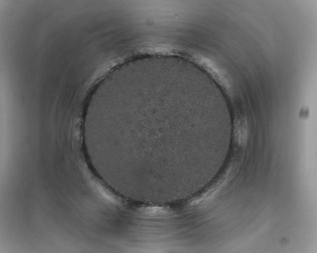 X0000094960449200711291444