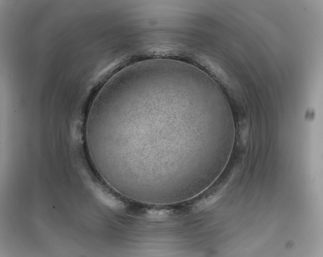 X0000094960450200711291444