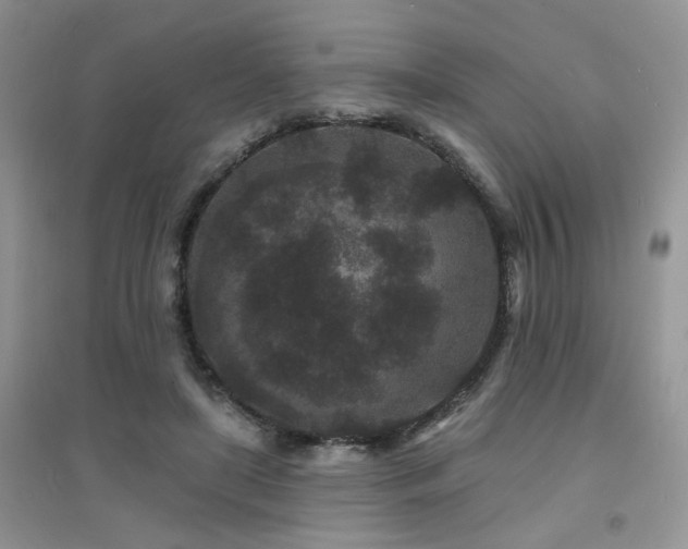 X0000094960451200711291444