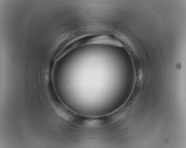 X0000094960452200711291444