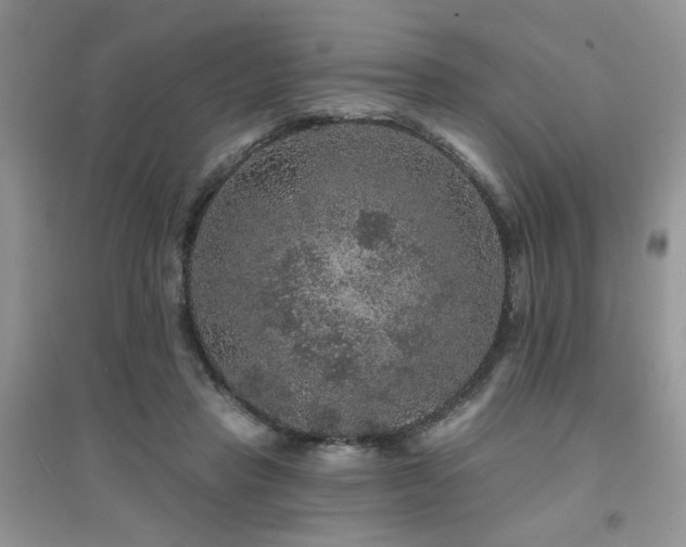 X0000094960453200711291444