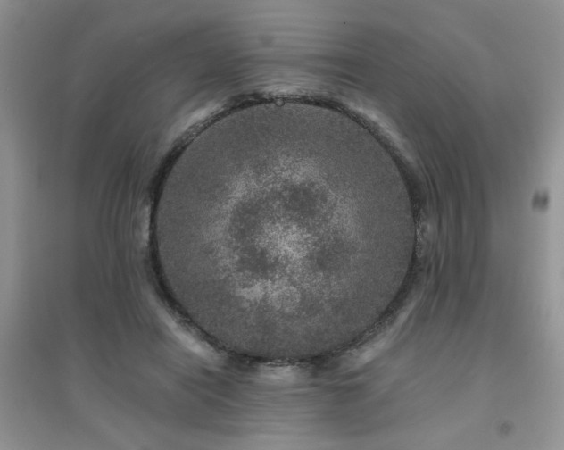 X0000094960454200711291444