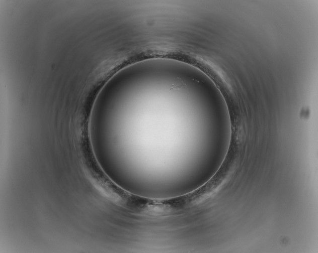 X0000094960455200711291444