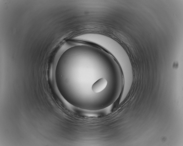 X0000094960456200711291444