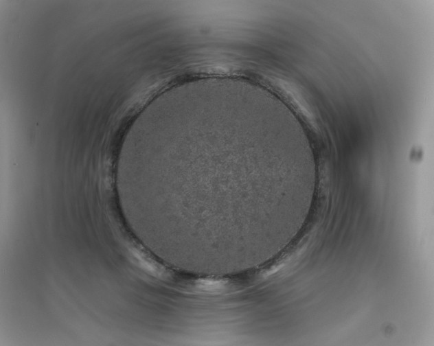 X0000094960457200711291444