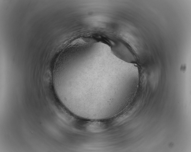 X0000094960459200711291444