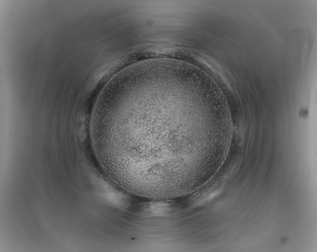 X0000094960462200711291444