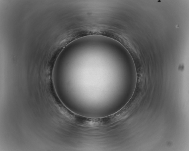 X0000094960466200711291445