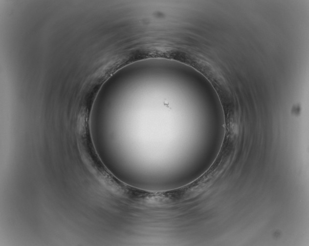 X0000094960468200711291445