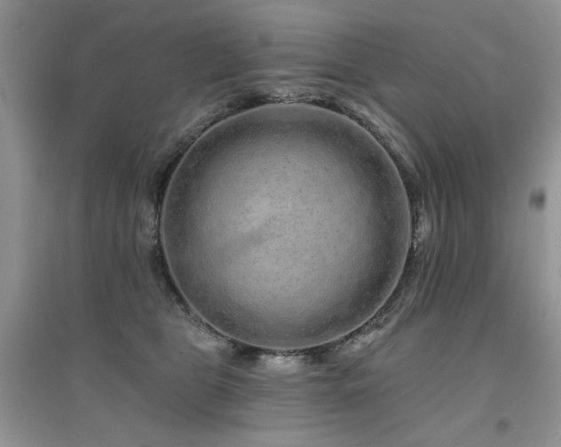 X0000094960469200711291445