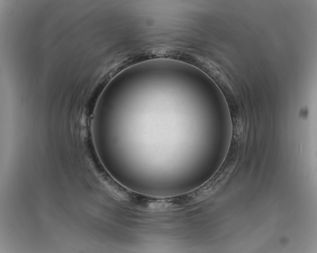 X0000094960470200711291445