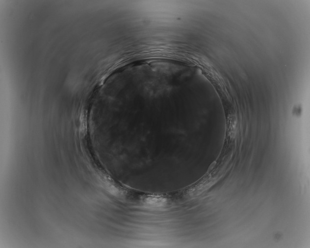 X0000094960471200711291445