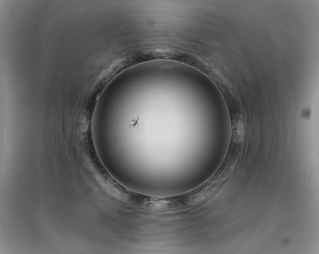 X0000094960472200711291445