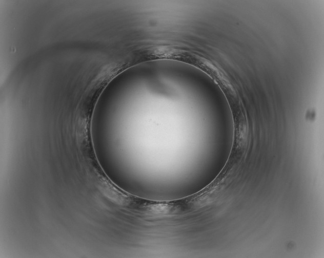 X0000094960473200711291445