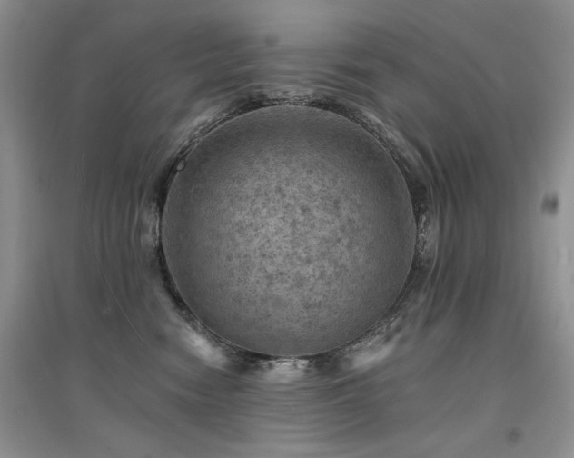 X0000094960474200711291445