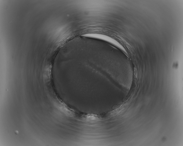 X0000094960475200711291445