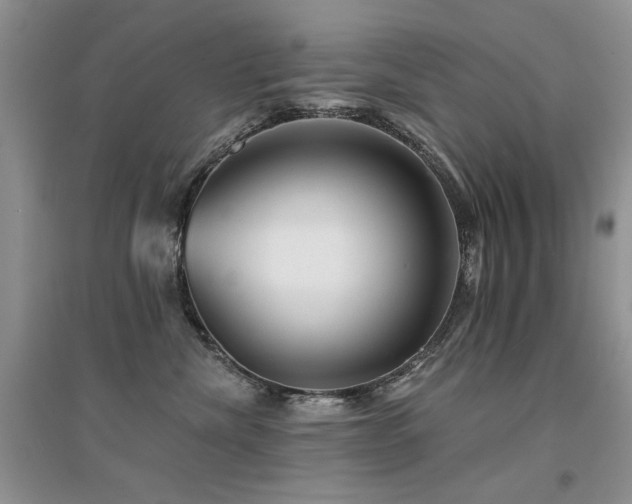 X0000094960476200711291445