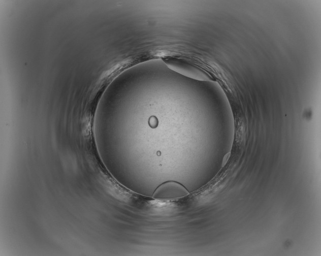 X0000094960477200711291445