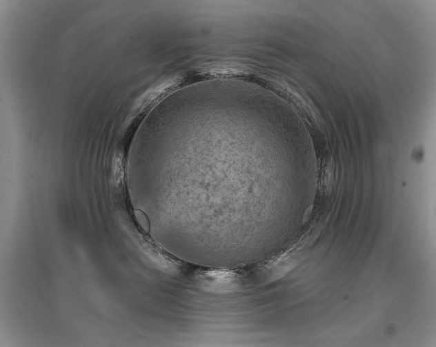 X0000094960478200711291445