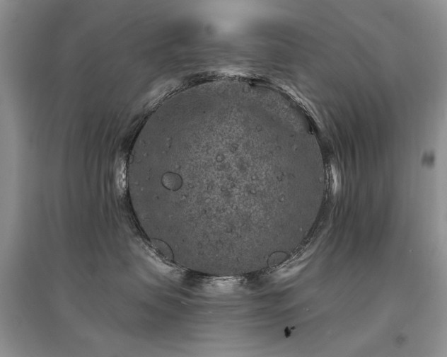 X0000094960479200711291445