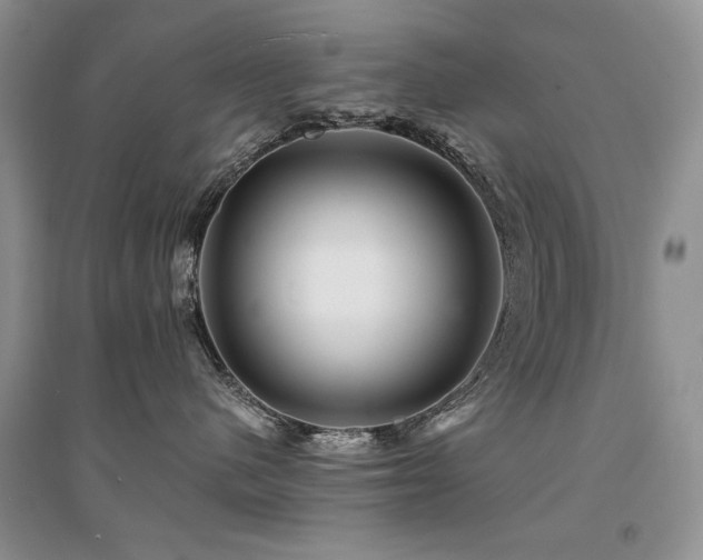 X0000094960480200711291445