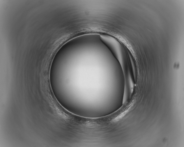 X0000094960481200711291444