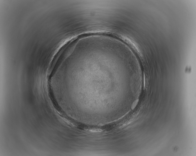 X0000094960483200711291444