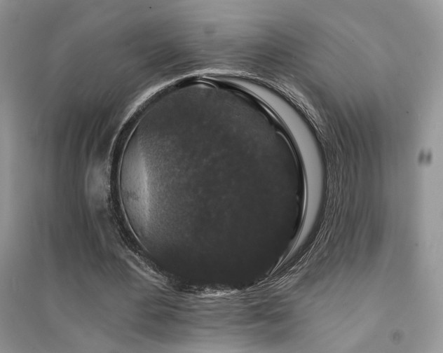 X0000094960484200711291444