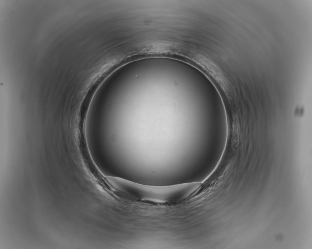 X0000094960485200711291444