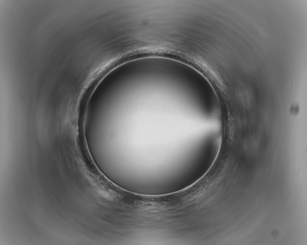 X0000094960486200711291444