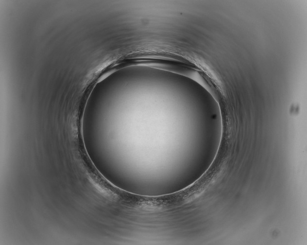 X0000094960489200711291444