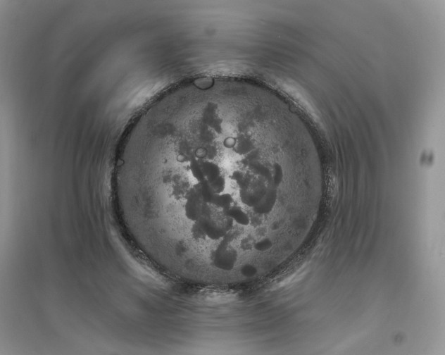 X0000094960491200711291444