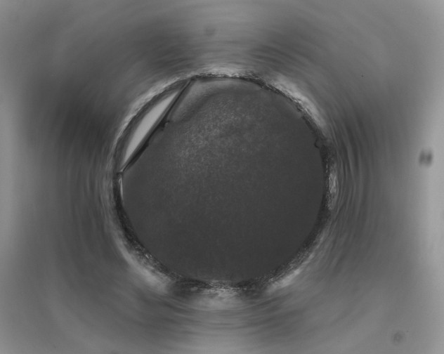 X0000094960492200711291444