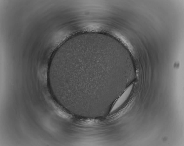 X0000094960493200711291444