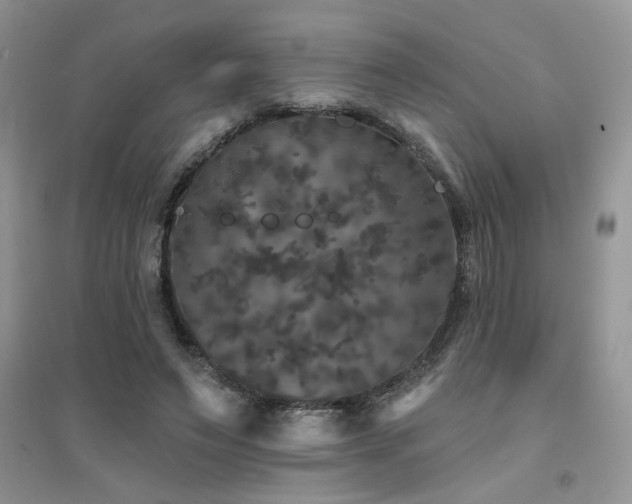 X0000094960495200711291444