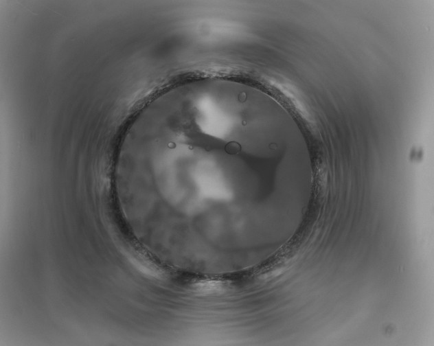 X0000094960499200711291444