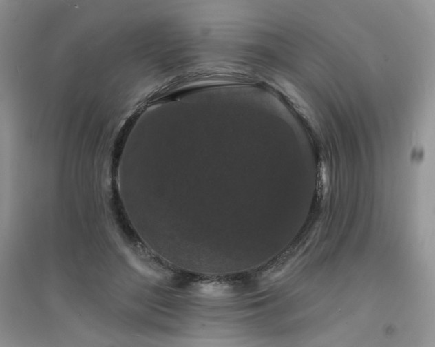 X0000094960500200711291444