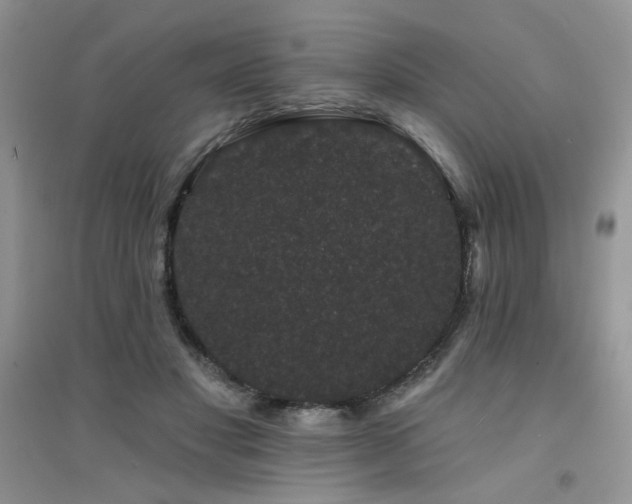 X0000094960501200711291444