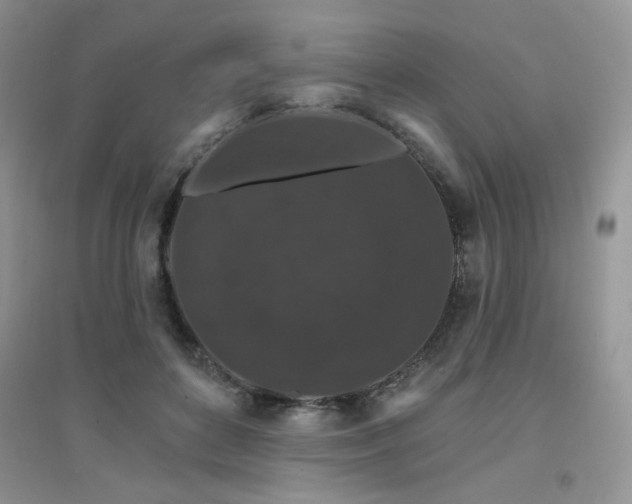 X0000094960504200711291444