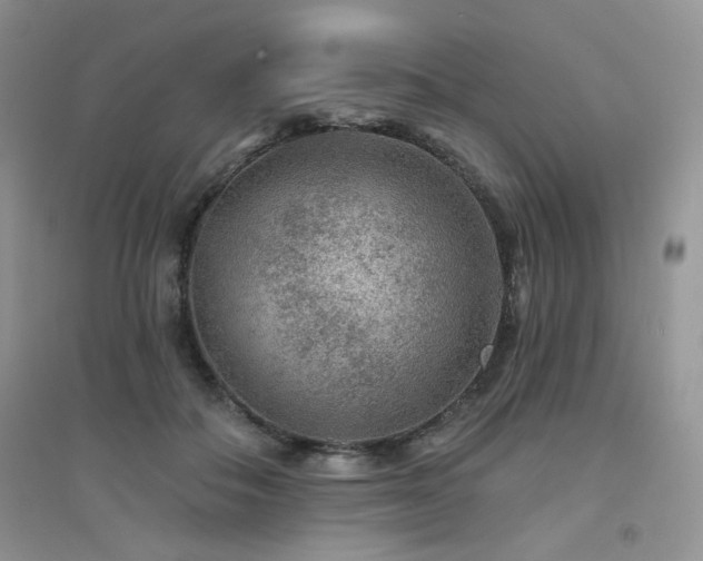 X0000094960506200711291444